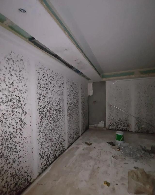 重庆 80㎡别墅地下室防潮指南 新风除湿机选型全攻略